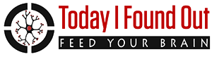 todayifoundout.com logo