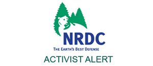 NRDC Logo