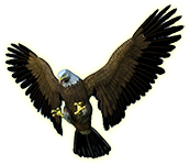 Eagle Graphic for Bottom of Page